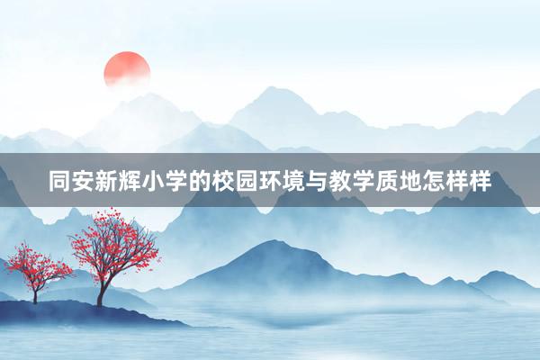 同安新辉小学的校园环境与教学质地怎样样