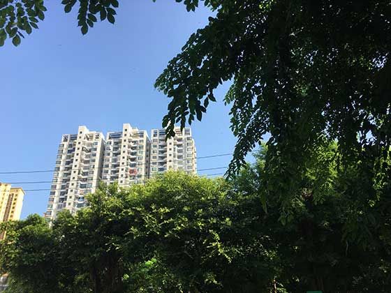 a82065ccebdb537092c7b8c9611a811d.jpg a82065ccebdb537092c7b8c9611a811d.jpg